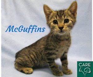 12119012_563123113841426_9014255251060344006_n