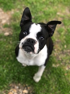 Delores
