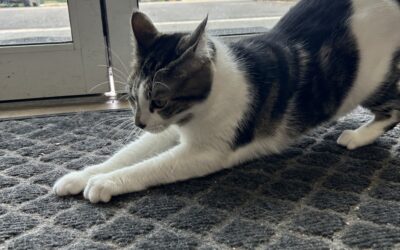 Sophie